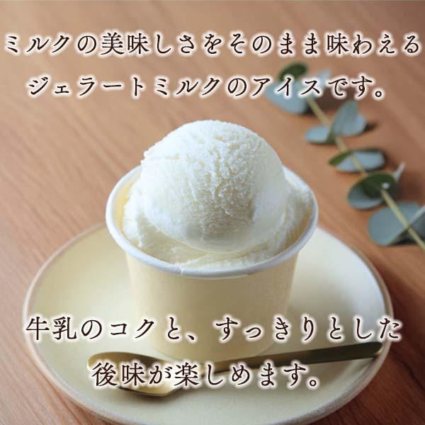 業務用アイス アイス 業務用 EX ジェラートミルク アイス 森永 スイーツ おやつ デザート 学園祭 文化祭 バルクアイス | 森永乳業 | 01