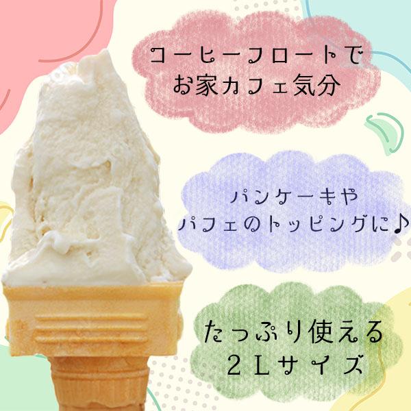 業務用アイス アイス 業務用 EX ジェラートミルク アイス 森永 スイーツ おやつ デザート 学園祭 文化祭 バルクアイス | 森永乳業 | 02