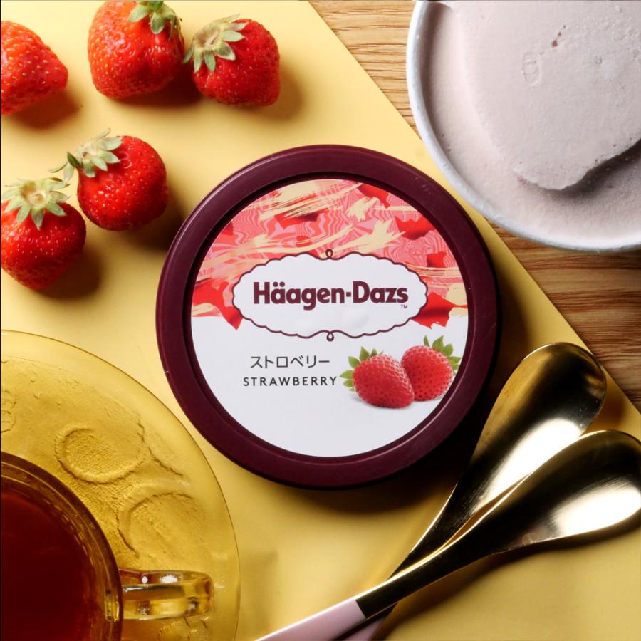 ハーゲンダッツ（Haagen-Dazs） アイスクリーム 詰め合わせ パイント