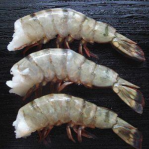 冷凍食品 お弁当 食品 食材 おかず 惣菜 簡単 業務用 家庭用 （エビ えび 海老 BBQ） ブラックタイガー殻付海老無頭 11cm（16〜20尾/450g） | 