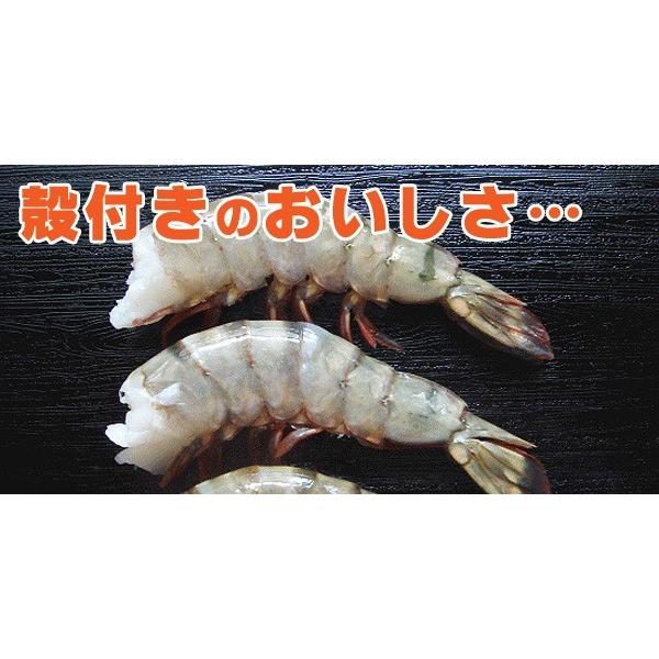 冷凍食品 お弁当 食品 食材 おかず 惣菜 簡単 業務用 家庭用 （エビ えび 海老 BBQ） ブラックタイガー殻付海老無頭 11cm（16〜20尾/450g） |  | 03