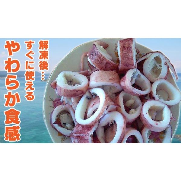 業務用 ボイル柔らか イカ 生食用いか 500g 冷凍食品 食品 業務用 家庭用 ニッスイ I01018 C フードセレクト Fbクリエイト 通販 Yahoo ショッピング