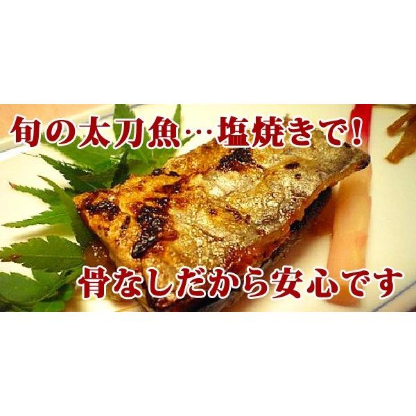 冷凍 食品 骨なし太刀魚 タチウオ 切り身 5切れ お弁当 弁当 食材 おかず 惣菜 業務用 家庭用 I006 C フードセレクト Fbクリエイト 通販 Yahoo ショッピング