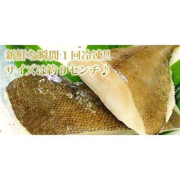 骨なしカレイ 切り身 60gかれい 鰈切り身 5切れ 冷凍食品 お弁当 弁当 食品 食材 おかず 惣菜 業務用 家庭用 I023 C フードセレクト Fbクリエイト 通販 Yahoo ショッピング