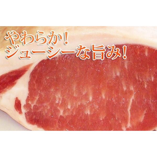 冷凍食品 業務用 お弁当 豚ロース 国産豚ロース ブロック(とんかつ トンテキ(500g) :i05003-c:フードセレクト FBクリエイト - 通販 - Yahoo!ショッピング 冷凍食品 業務用 お弁当 豚ロース 国産豚ロース ブロック(とんかつ トンテキ(500g) :i05003-c:フードセレクト FBクリエイト - 通販 - Yahoo!ショッピング