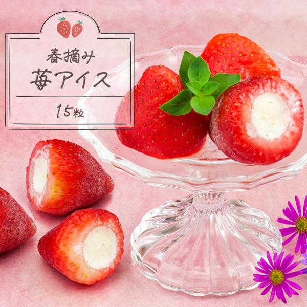 御歳暮 ギフト 2025 プレゼント 苺スイーツ 送料無料 春摘み苺アイス 15粒 いちごアイス アイス プレゼント クリスマス | 