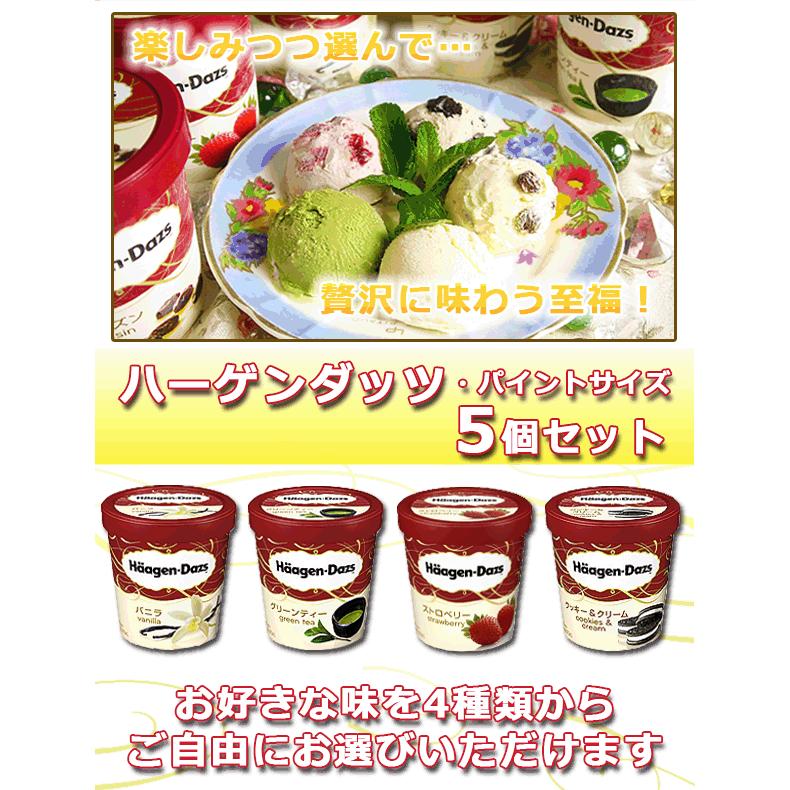 お歳暮 クリスマス プレゼント 21 スイーツ メッセージ ギフト ハーゲンダッツ パイントサイズ 5個セット 選べるフレーバー アイス スイーツ 食べ物 Ip フードセレクト Fbクリエイト 通販 Yahoo ショッピング