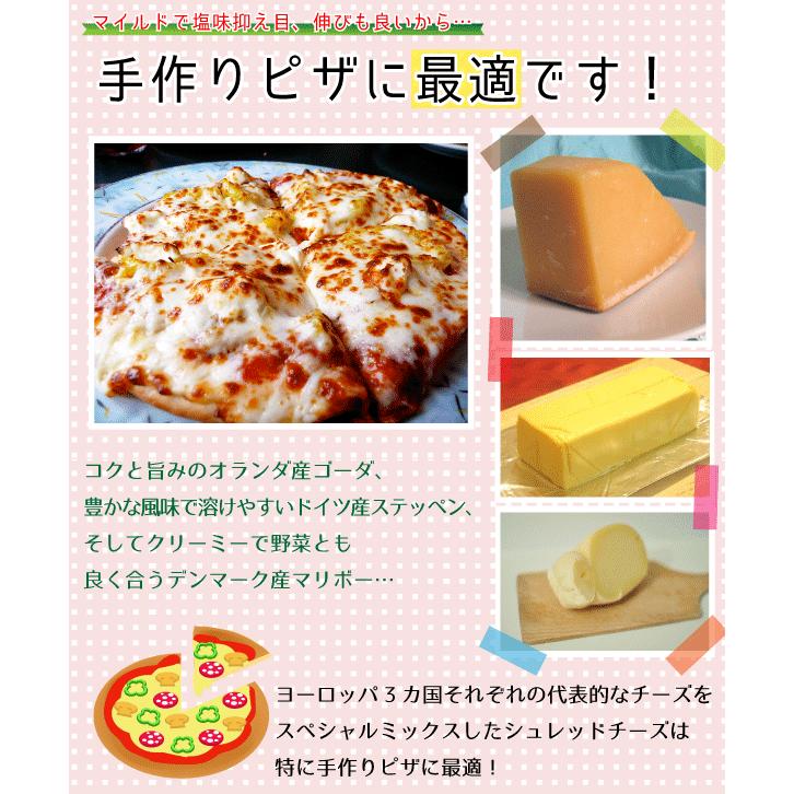 【チーズページ】 楽天市場】マンチェゴ 12カ月熟成DOP 90gカット［冷蔵/冷凍可