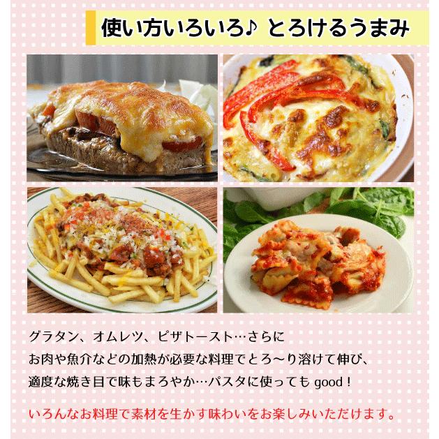 わんこのヘルシー食事ミックス味　2袋　おまけ付き わんこのサラダ | 商品理念 | 無添加ドッグフード通販 国産