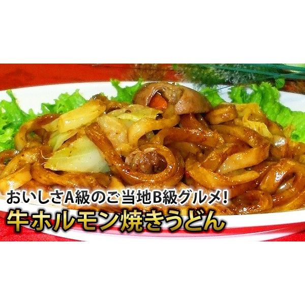 焼きうどん B級グルメ 牛ホルモン焼うどん【250ｇ】 日東ベスト 冷凍うどん 冷凍食品 居酒屋 食堂 カラオケ バイキング パーティー｜fbcreate｜05