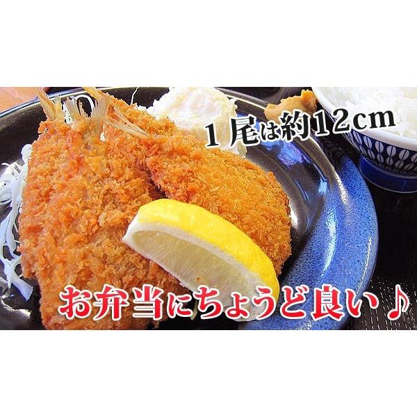 あじフライ アジフライ 55g 10枚 アジフライ 弁当 冷凍食品 お弁当 食品 食材 おかず 惣菜 業務用 家庭用 マルハニチロ M033 C フードセレクト Fbクリエイト 通販 Yahoo ショッピング