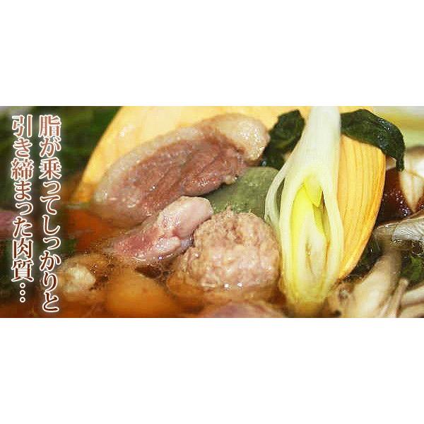鴨鍋 鴨肉1〜2人前鴨鍋セット 業務用 家庭用 鍋 材料 |  | 02