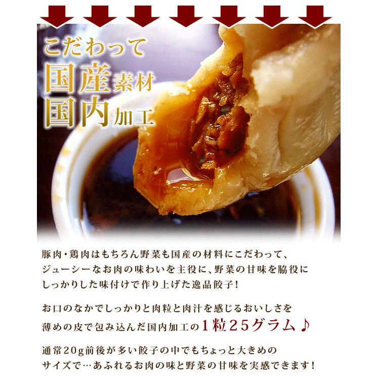 餃子 ぎょうざ 粗挽肉餃子 通販 25ｇ 15粒 冷凍食品 お弁当 弁当 食品 食材 おかず 惣菜 業務用 家庭用 国産 八洋食品 M C フードセレクト Fbクリエイト 通販 Yahoo ショッピング