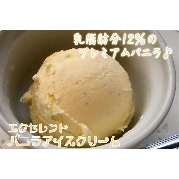 アイスクリーム 業務用 バルクアイス バニラアイスクリーム 2L 森永 国産 2リットル|fbcreate|03