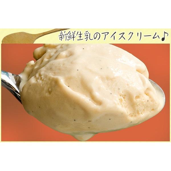 アイスクリーム 業務用 バルクアイス バニラアイスクリーム 2L 森永 国産 2リットル|fbcreate|05