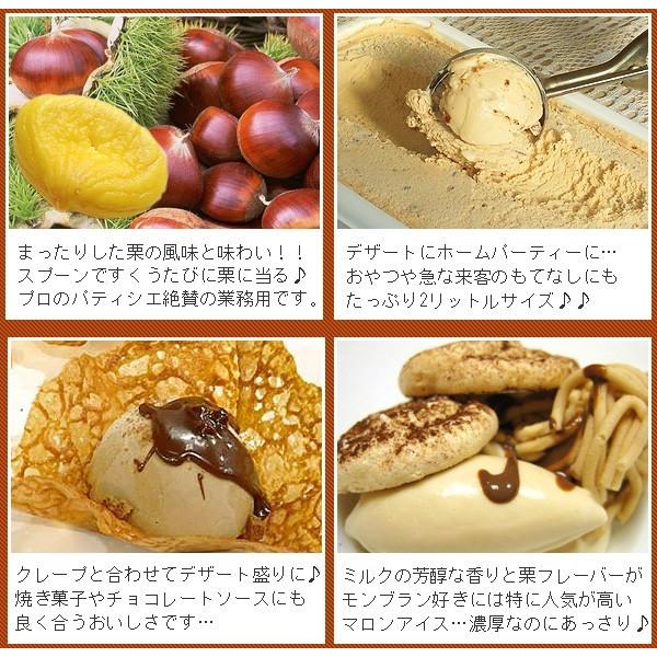 アイスクリーム 業務用 バルクアイス マロンアイス 2L 明治 国産 2リットル 秋 くり 栗|fbcreate|04