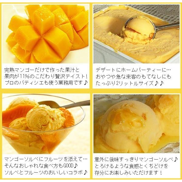 アイス 業務用アイス 明治 マンゴー マンゴーシャーベット 2L ソルベ シャーベット スイーツ おやつ デザート 食後 食後のデザート 居酒屋 子供会 バルクアイス | 明治 | 03