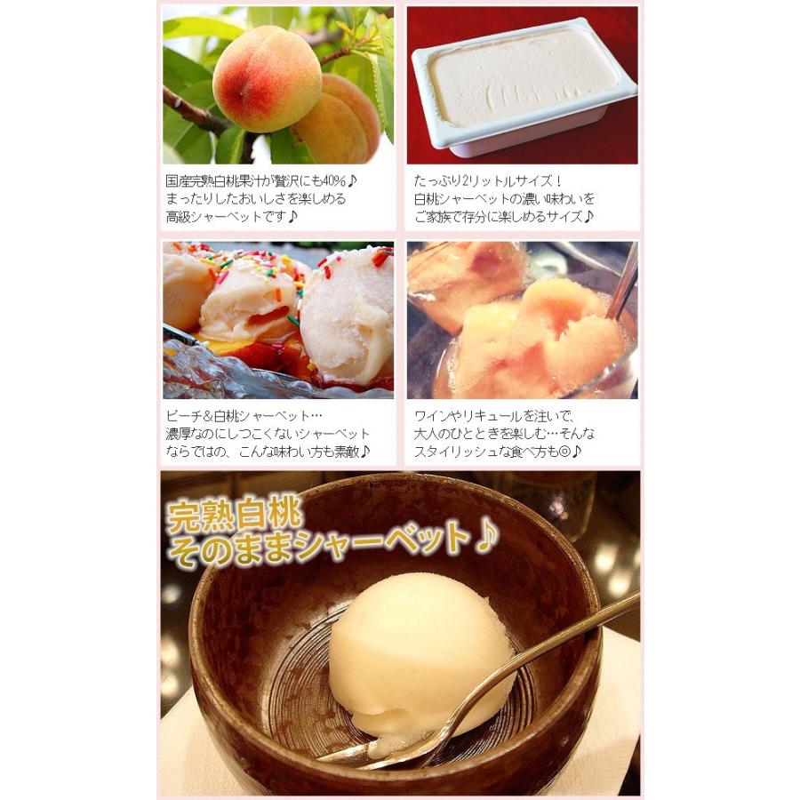 翌日発送可能 シャーベット 業務用 バルクアイス ゆずソルベ 柚子 2l 明治 国産 2リットル