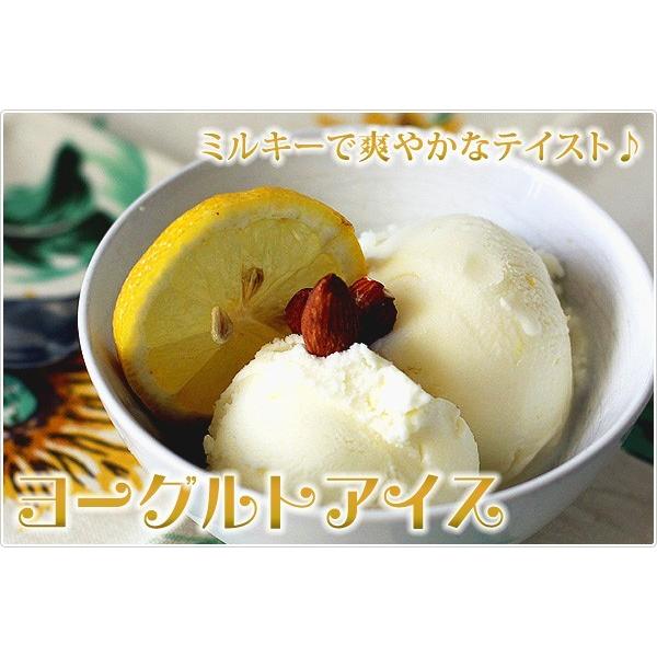 アイス 業務用アイス 明治 こだわり素材のヨーグルト風味 2L 業務用 アイスクリーム スイーツ おやつ デザート 食後のデザート 子供 居酒屋 子供会 バルクアイス | 明治 | 02