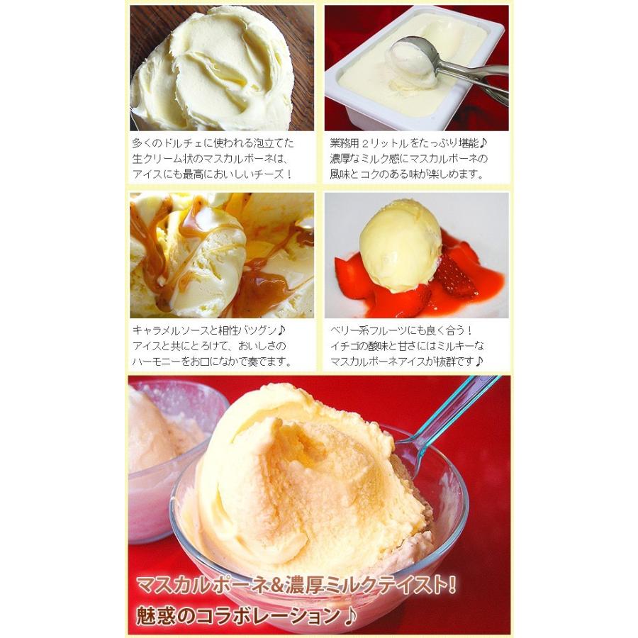 アイスクリーム 業務用 バルクアイス マスカルポーネアイスクリーム 2L 森永 国産 2リットル :m70087-c:フードセレクト FBクリエイト - 通販 - Yahoo!ショッピング アイスクリーム 業務用 バルクアイス マスカルポーネアイスクリーム 2L 森永 国産 2リットル :m70087-c:フードセレクト FBクリエイト - 通販 - Yahoo!ショッピング