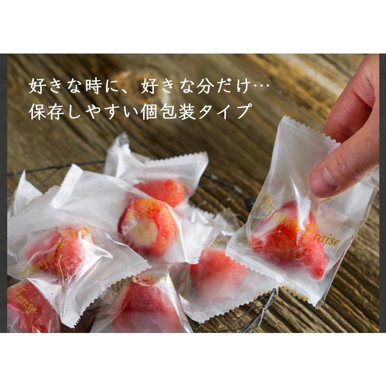 母の日 プレゼント 花以外 スイーツ アイス ギフト 2024 送料無料 いちご 誕生日 苺 チョコ 春摘み苺アイス＆プチチョコアイス 40粒 mothersday｜fbcreate｜06