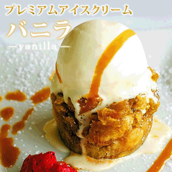 アイス 業務用アイス 弘乳舎 業務用 アイスアイスクリーム 業務用 お花見 バルクアイス ラクトアイス スイーツ おやつ デザート バニラアイスクリーム 2L | 弘乳舎