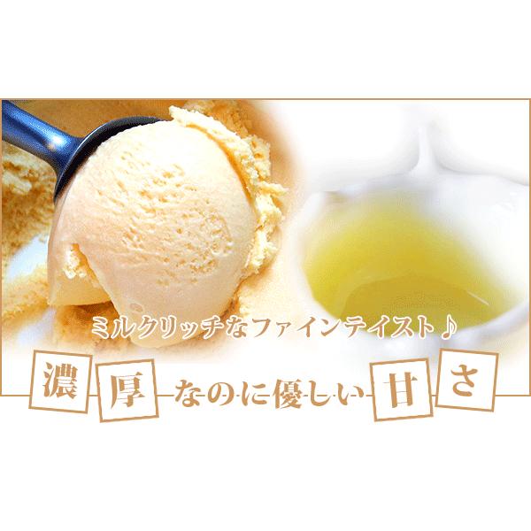 アイス 業務用アイス 弘乳舎 業務用 アイスアイスクリーム 業務用 お花見 バルクアイス ラクトアイス スイーツ おやつ デザート バニラアイスクリーム 2L | 弘乳舎 | 03