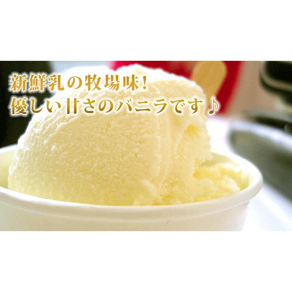 アイス 業務用アイス 弘乳舎 業務用 アイスアイスクリーム 業務用 お花見 バルクアイス ラクトアイス スイーツ おやつ デザート バニラアイスクリーム 2L | 弘乳舎 | 05