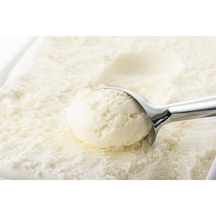 業務用アイス アイス 森永 ココナッツミルク 2L バルクアイス アイスクリーム 業務用 スイーツ | 森永乳業 | 02