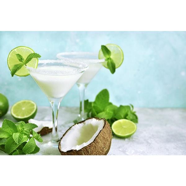 業務用アイス アイス 森永 ココナッツミルク 2L バルクアイス アイスクリーム 業務用 スイーツ | 森永乳業 | 04