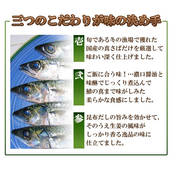 さば生姜煮 2尾 煮魚さば 冷凍食品 お弁当 弁当 食品 食材 おかず 惣菜 業務用 家庭用 国産 ヤヨイ食品 Wy フードセレクト Fbクリエイト 通販 Yahoo ショッピング