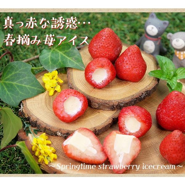 父の日 プレゼント ギフト 食べ物 2024 夏ギフト お中元 スイーツ 洋菓子 アイス いちご お祝い 苺 イチゴアイス 春摘み苺アイス 30粒 fathersday｜fbcreate｜12