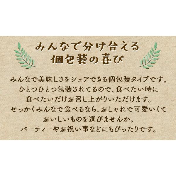 アイス ギフト 父の日 スイーツ 60代 70代 80代 2024 夏ギフト お中元 送料無料 お返し いちご 苺 イチゴアイス 春摘み苺アイス 30粒 fathersday｜fbcreate｜08