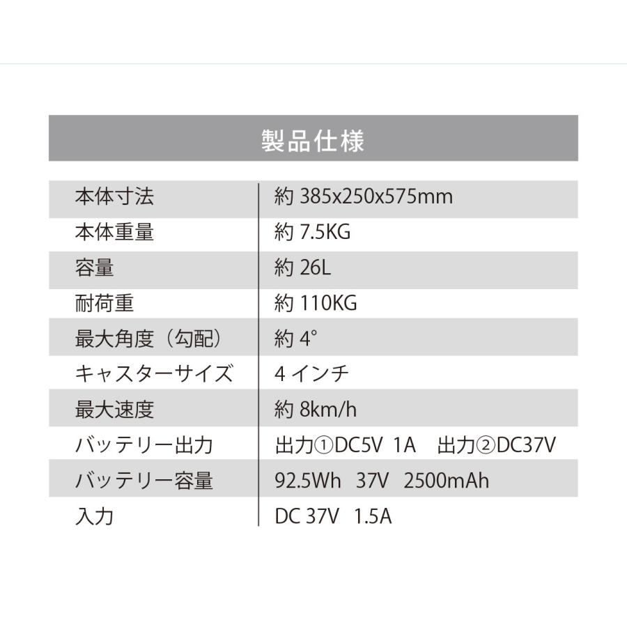 Airwheel　乗れるスーツケース　SE3MiniTの画像