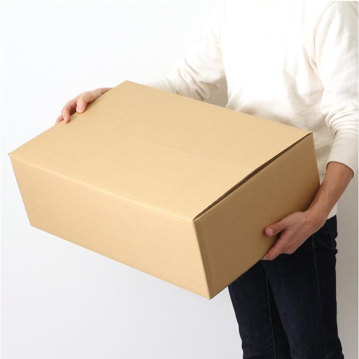 ダンボール 120サイズ 10枚セット 大きい 段ボール 宅配 梱包 引っ越し 引越 配送 収納 保管 みかん箱 発送 荷造り ポイント消化 | ブランド登録なし | 03