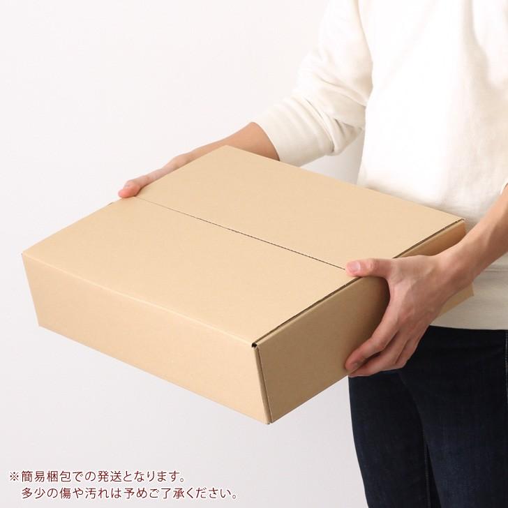 ダンボール 宅配100サイズ 20枚セット A3対応 薄型 中 低 段ボール