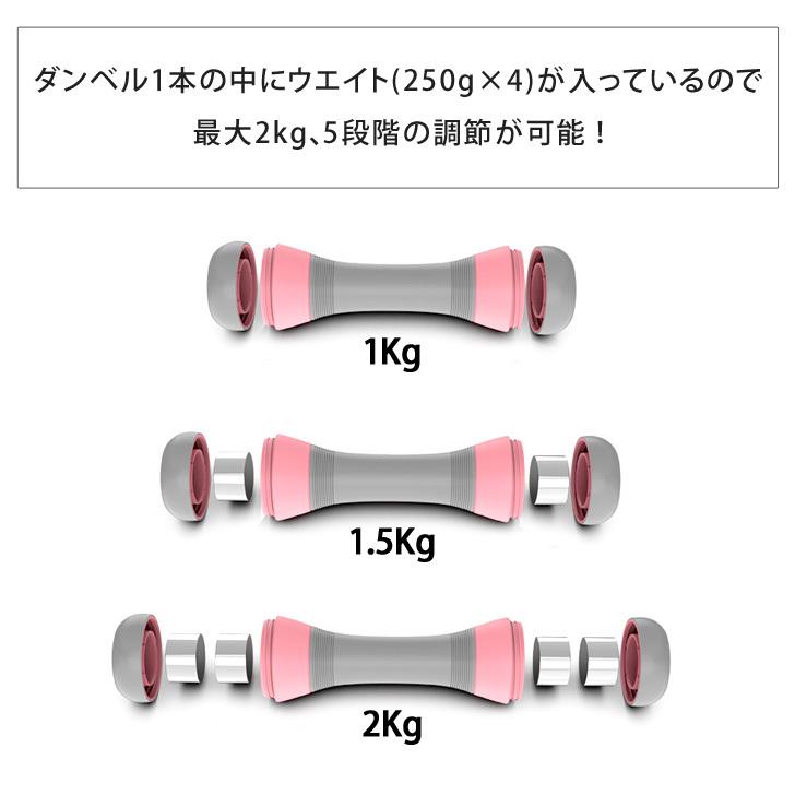 ダンベル 可変式 2個セット 2kg 鉄アレイ 筋トレ トレーニング エクササイズ グッズ ダイエット 女性 男女兼用 かわいい おしゃれ ポイント消化 Czysacz Fes 通販 Yahoo ショッピング