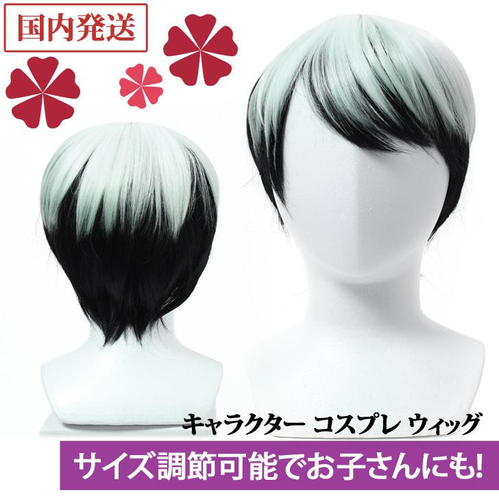 ウィッグ コスプレ キャラクター ショート カツラ 鬼 医者 仮装 衣装 変装 コスチューム アニメ マンガ 人気 アジャスター キッズ 大人 ポイント消化 Czyswg Fes 通販 Yahoo ショッピング