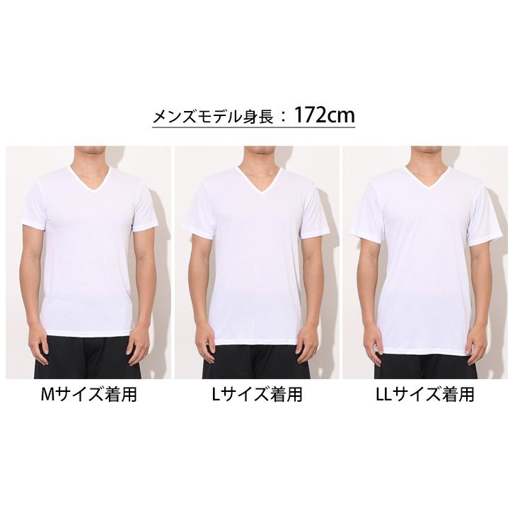 Tシャツ 鹿の子 メンズ トップス Vネック インナー 半袖 アセドロン 紳士 男性 吸湿 吸汗速乾 汗対策 グンゼ GUNZE MCA715｜fcase-jp｜11