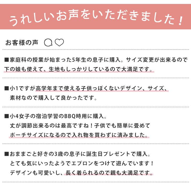 エプロン おしゃれ 子供 男の子 女の子 160 150 三角巾 セット パッカブル 前掛け 収納 キッズ 給食 調理実習 小学校 子ども服 おうちキャンプ ポイント消化 Tcpkids01 Fes 通販 Yahoo ショッピング