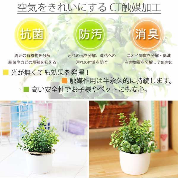 50 Off ミニグラス アーティフィシャルグリーン S 消臭グッズ 空気清浄 造花 観葉植物 デオドラント 草 Aynaelda Com