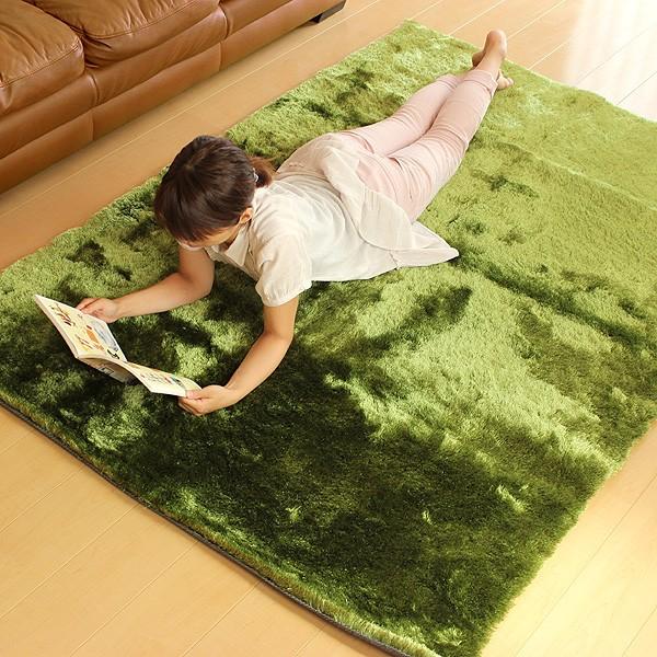 BRID（ブリッド） GRASS RUG グラスラグ 140×200（カーペット 床暖房