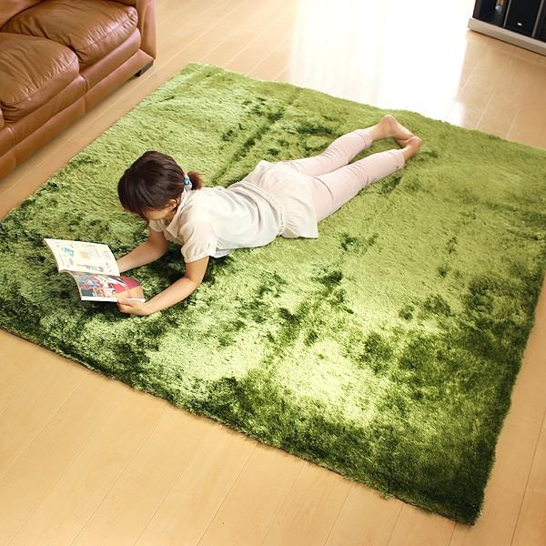 BRID（ブリッド） GRASS RUG グラスラグ 200×200（カーペット 床暖房