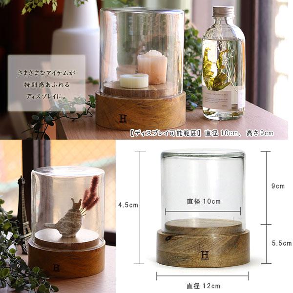 ガラスドーム シリンダー1（ディスプレイケース ガラスケース ショー