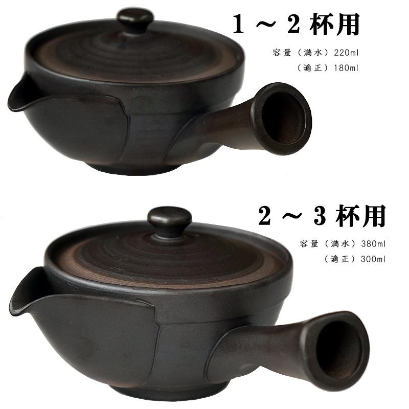 天一 常滑焼セラメッシュ急須浅型（ティーポット きゅうす お茶ポット