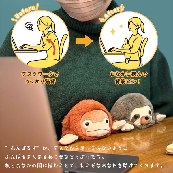 Dreams（ドリームズ） ふんばるずL（姿勢 矯正 クッション 姿勢