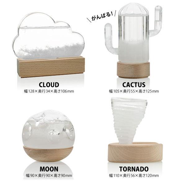 h-concept（アッシュコンセプト） bitten STORM WEATHER STATION