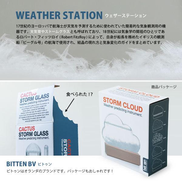 h-concept（アッシュコンセプト） bitten STORM WEATHER STATION