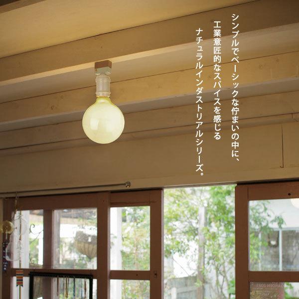 和風シーリングライト 富士山デザイン 【公式通販】