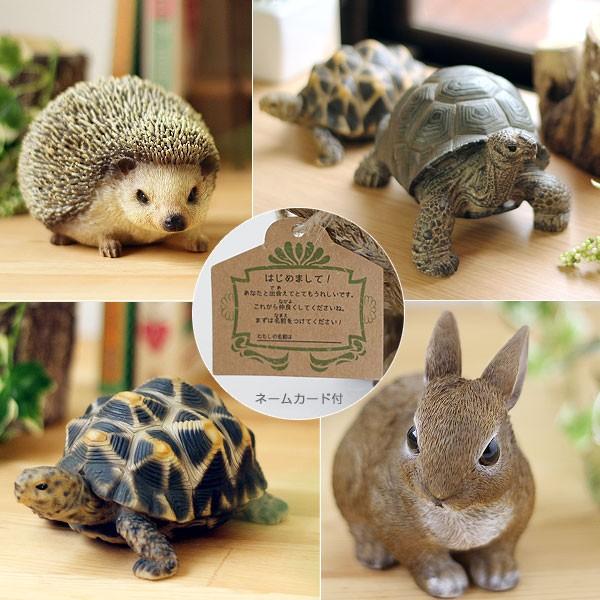 magnet PET BANK・ペットバンク（貯金箱 magnet コインバンク 兎 針鼠